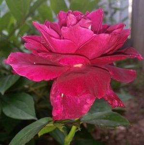 Meet your Posher, Chrystal